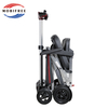  Scooter elettrico da viaggio 19 kg
